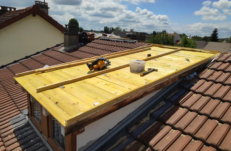 Avant - Rénovation chien-assis zinc